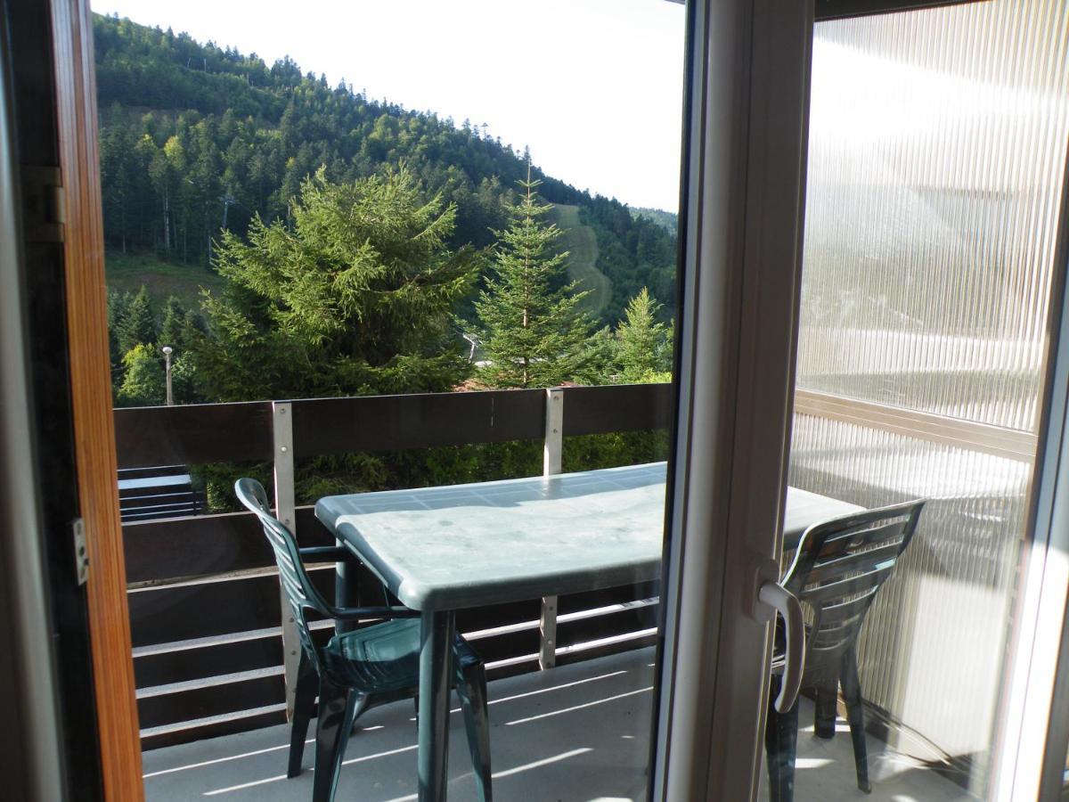 Appartement A La Montagne ,Vue Sur Les Pistes 拉布雷斯 外观 照片