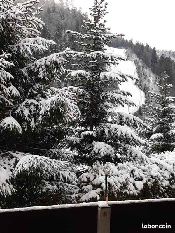 Appartement A La Montagne ,Vue Sur Les Pistes 拉布雷斯 外观 照片